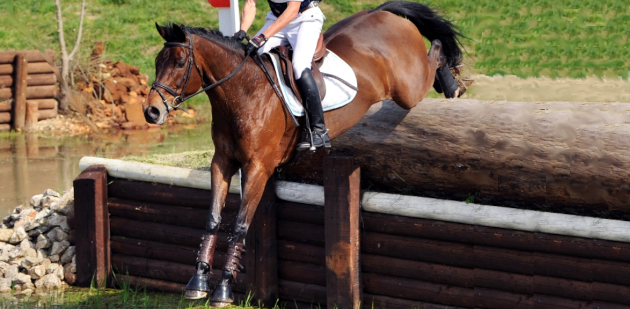 Gli sport equestri italiani nel panorama internazionale