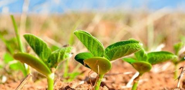Terra, salute e informazione: i benefici dell’economia circolare nella filiera agroalimentare