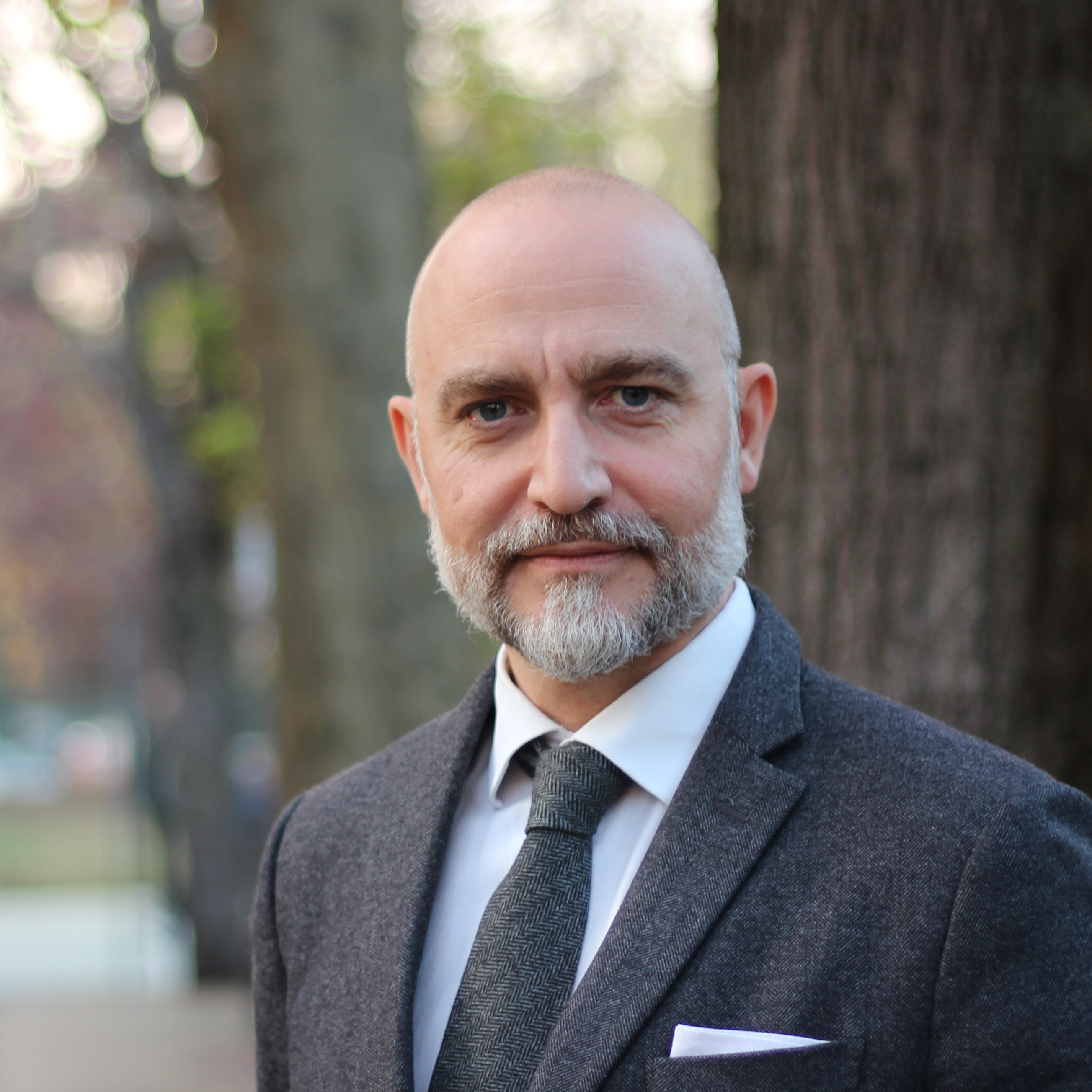 profile image - Polidoro