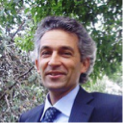 Andrea Piccaluga