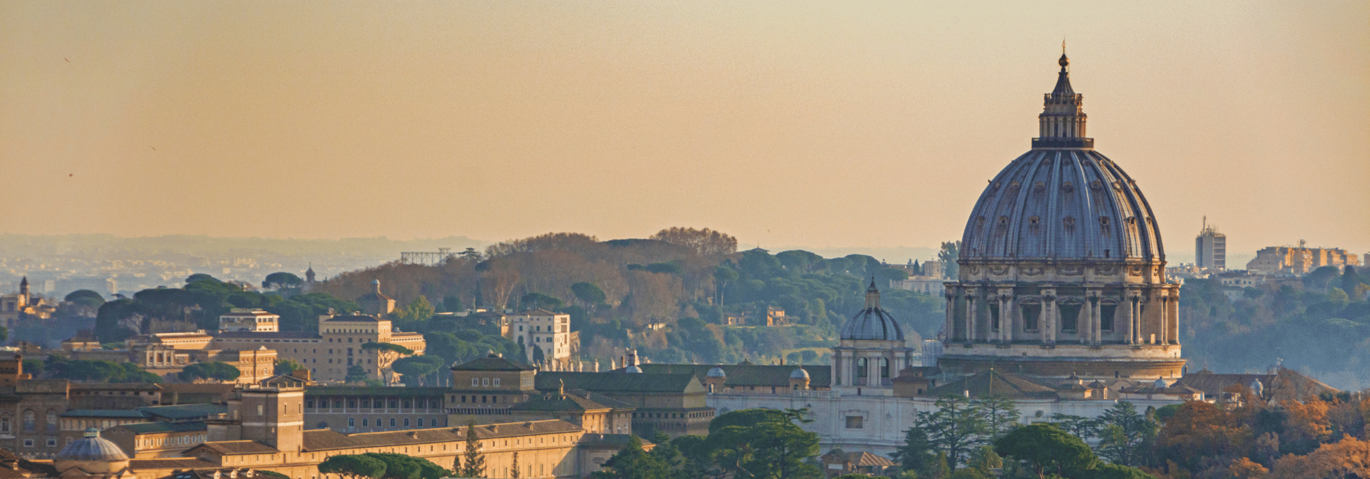 https://backoffice.lumsa.itSan Pietro