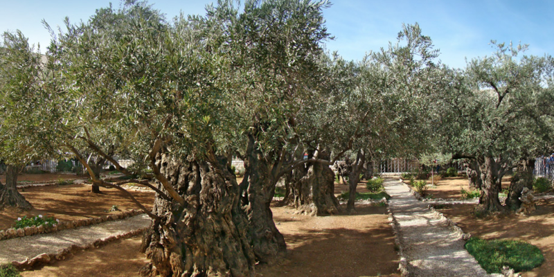 giardino del getsemani
