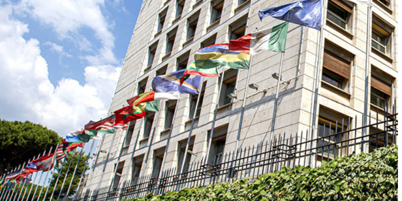 MUN Rome 206 - closing ceremomy