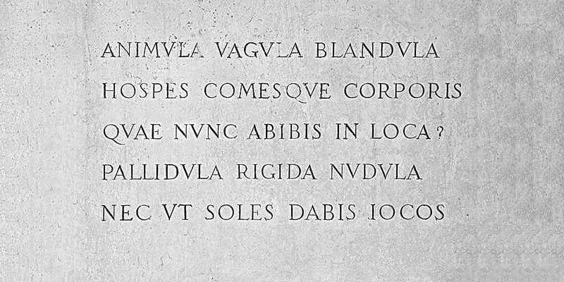 testo di poesia latina