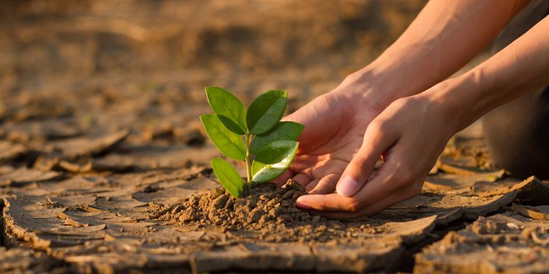 Mano e natura per la sostenibilità ambientale