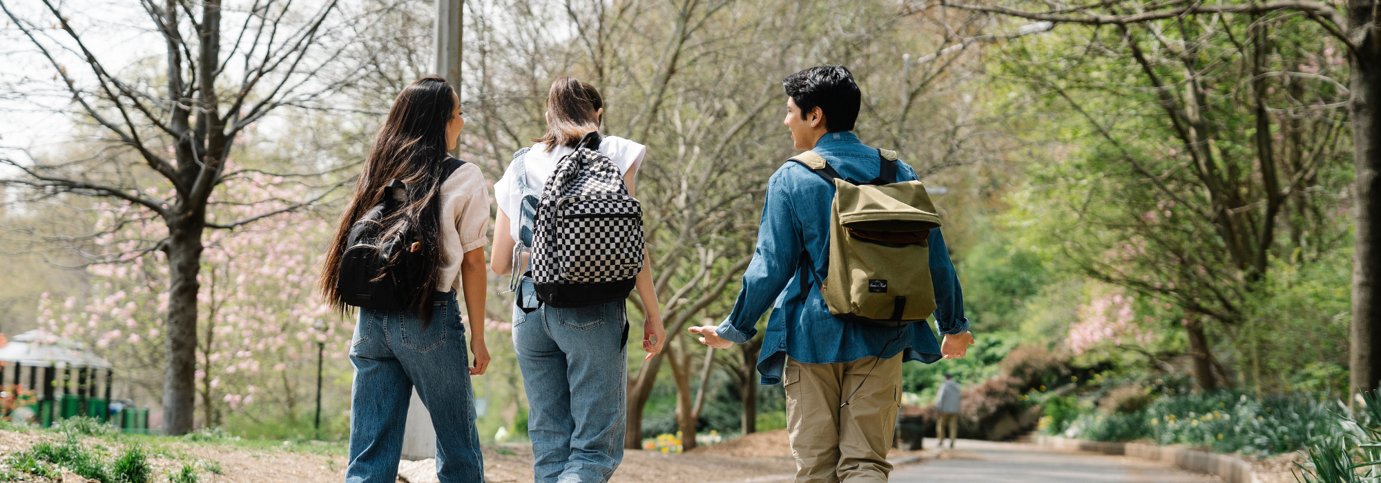 https://backoffice.lumsa.itStudenti che camminano in un parco