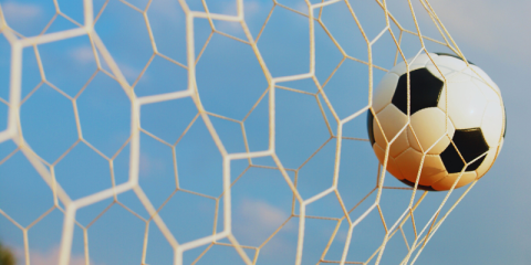 Pallone da calcio