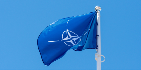 Bandiera della NATO