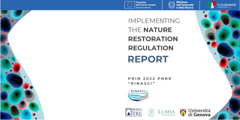 Copertina del Report finale